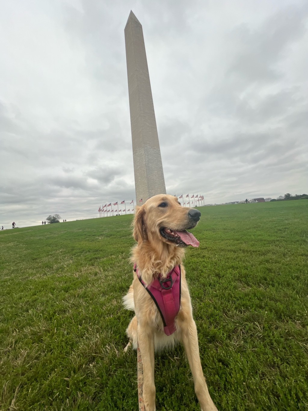 Hello DC (and KC)&nbsp;friends!